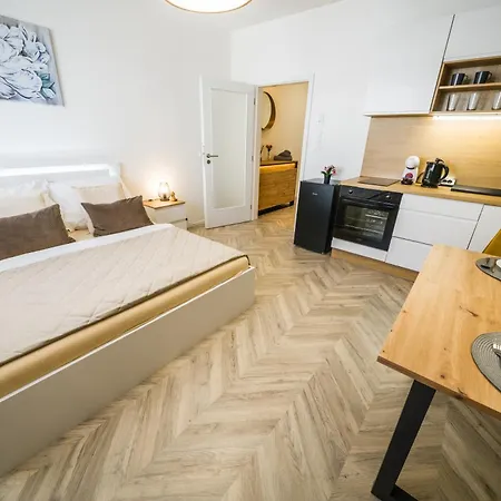 Apartia Apt Brno Center Esterno foto
