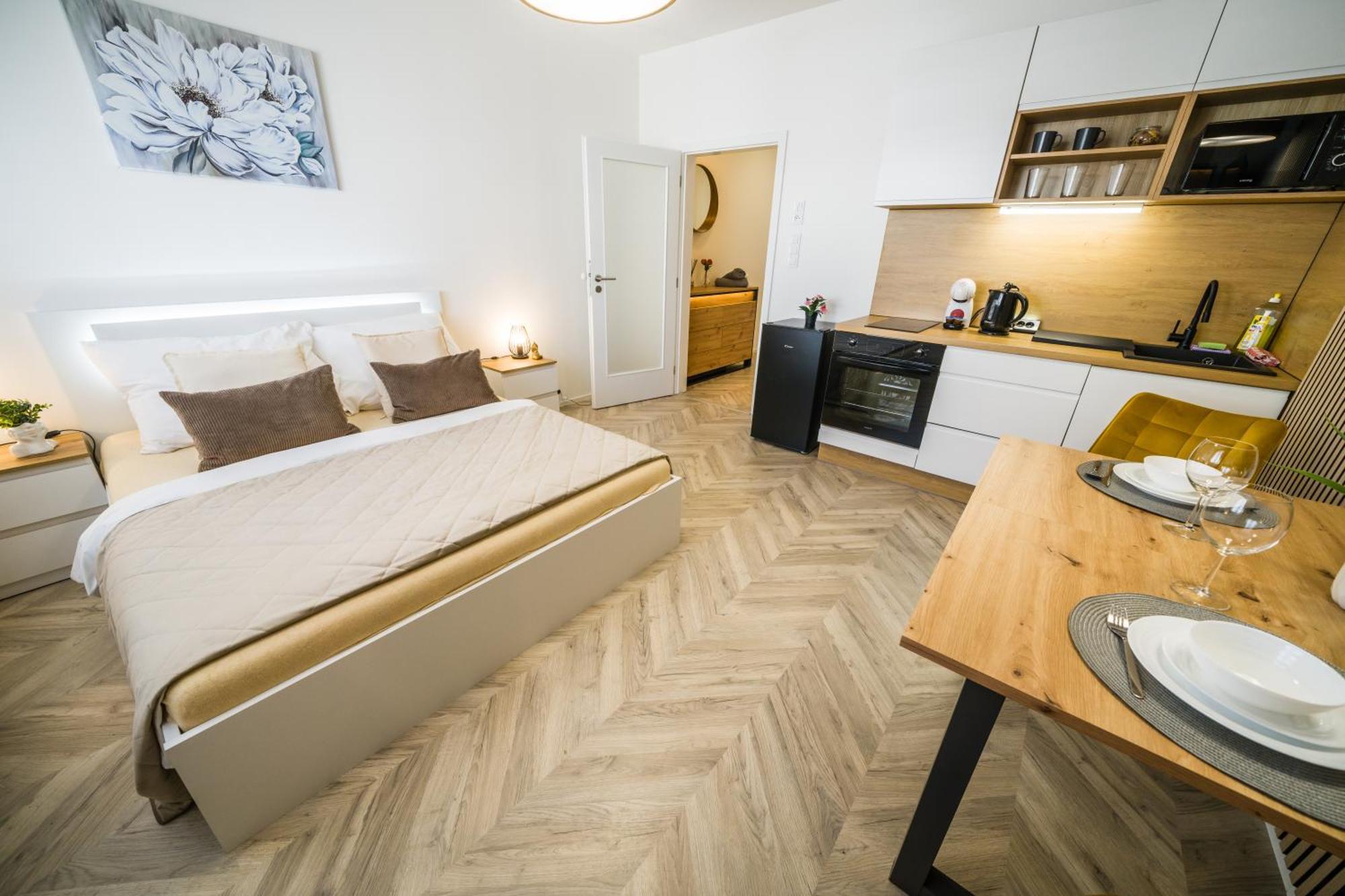 Apartia Center Apartment Brno